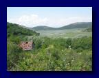 090605-132856 (Martina Wucherer)
