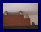 090613-091544 (Gaby Kreiner)